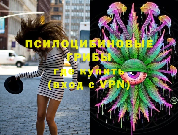 индика Снежинск