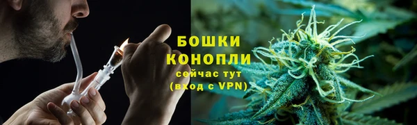 мескалин Арсеньев